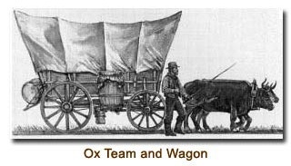 oxen team wagon